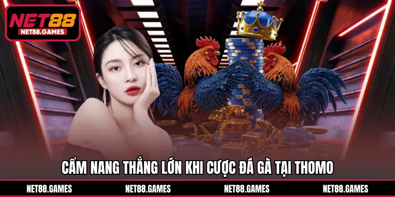 Cẩm nang thắng lớn khi cược đá gà tại Thomo