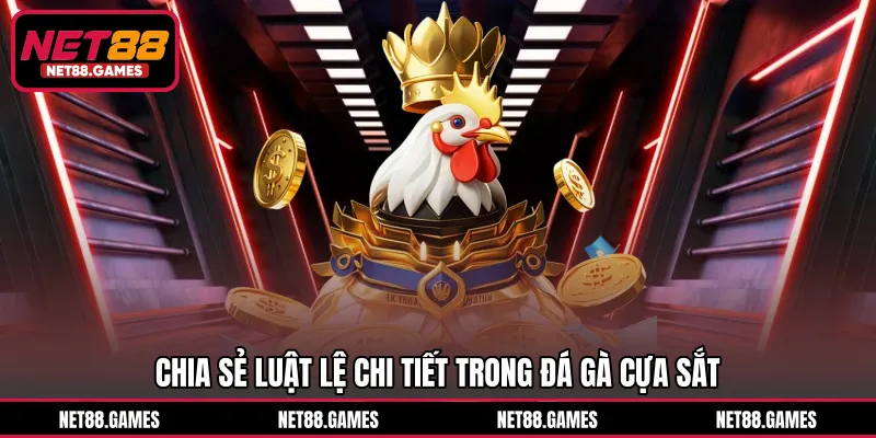 Chia sẻ luật lệ chi tiết trong đá gà cựa sắt