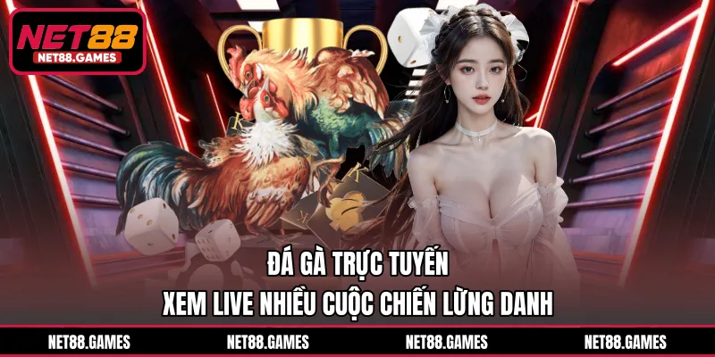 Đá Gà Trực Tuyến - Xem Live Nhiều Cuộc Chiến Lừng Danh