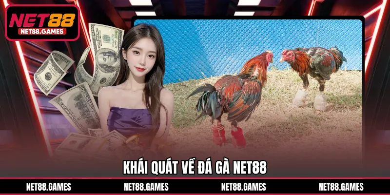 Khái quát về đá gà NET88