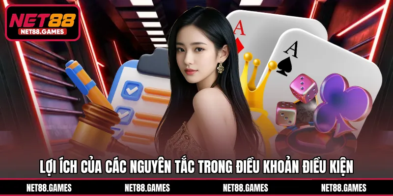 Lợi ích của các nguyên tắc trong điều khoản điều kiện