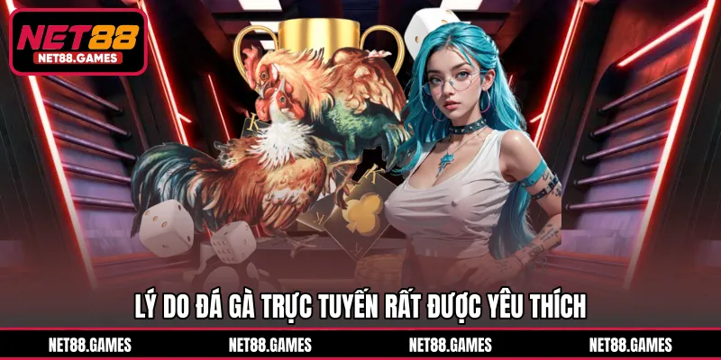 Lý do đá gà trực tuyến rất được yêu thích